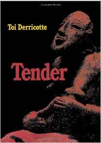 Tender by Toi Derricotte