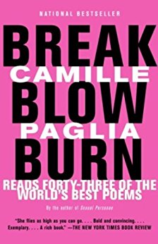 book cover break blow burn
